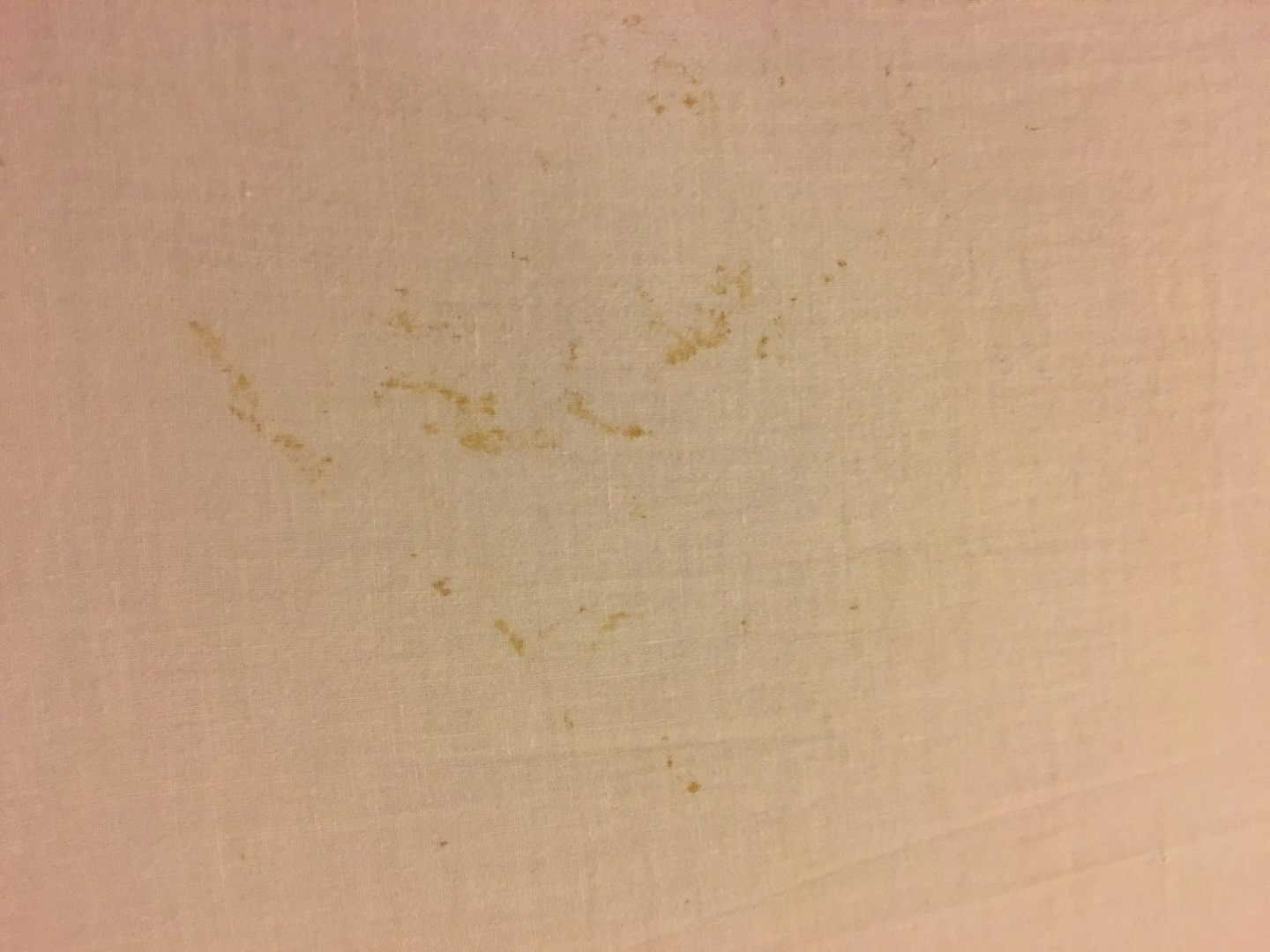More stains on matress protector