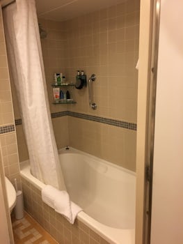 Bathtub shower