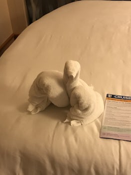 Selection of photos of towel animals