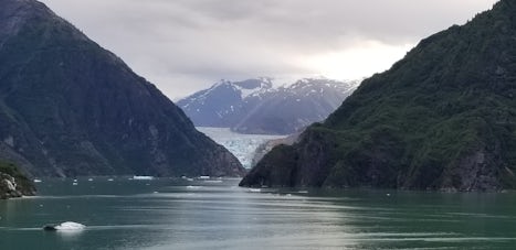 Sawyer glacier