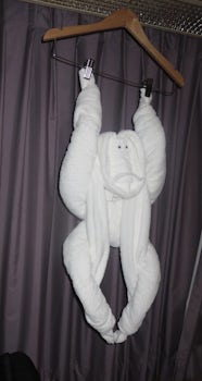 Towel animal surprises in our cabin from our stewards