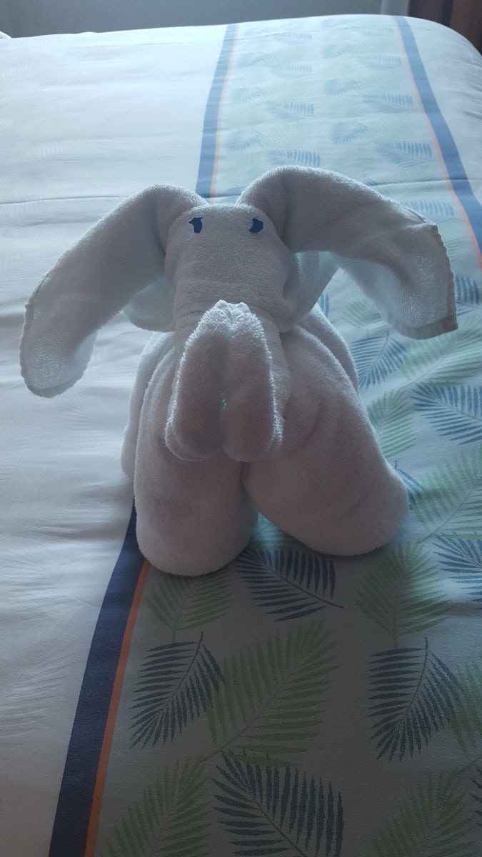 Loved the towel animals every day