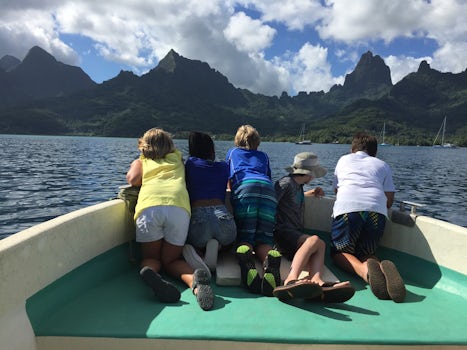 Kids program watching the dolphins with Moorea in the background!