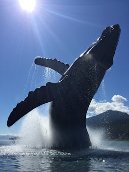 Juneau Whale sculpture - looks very real!