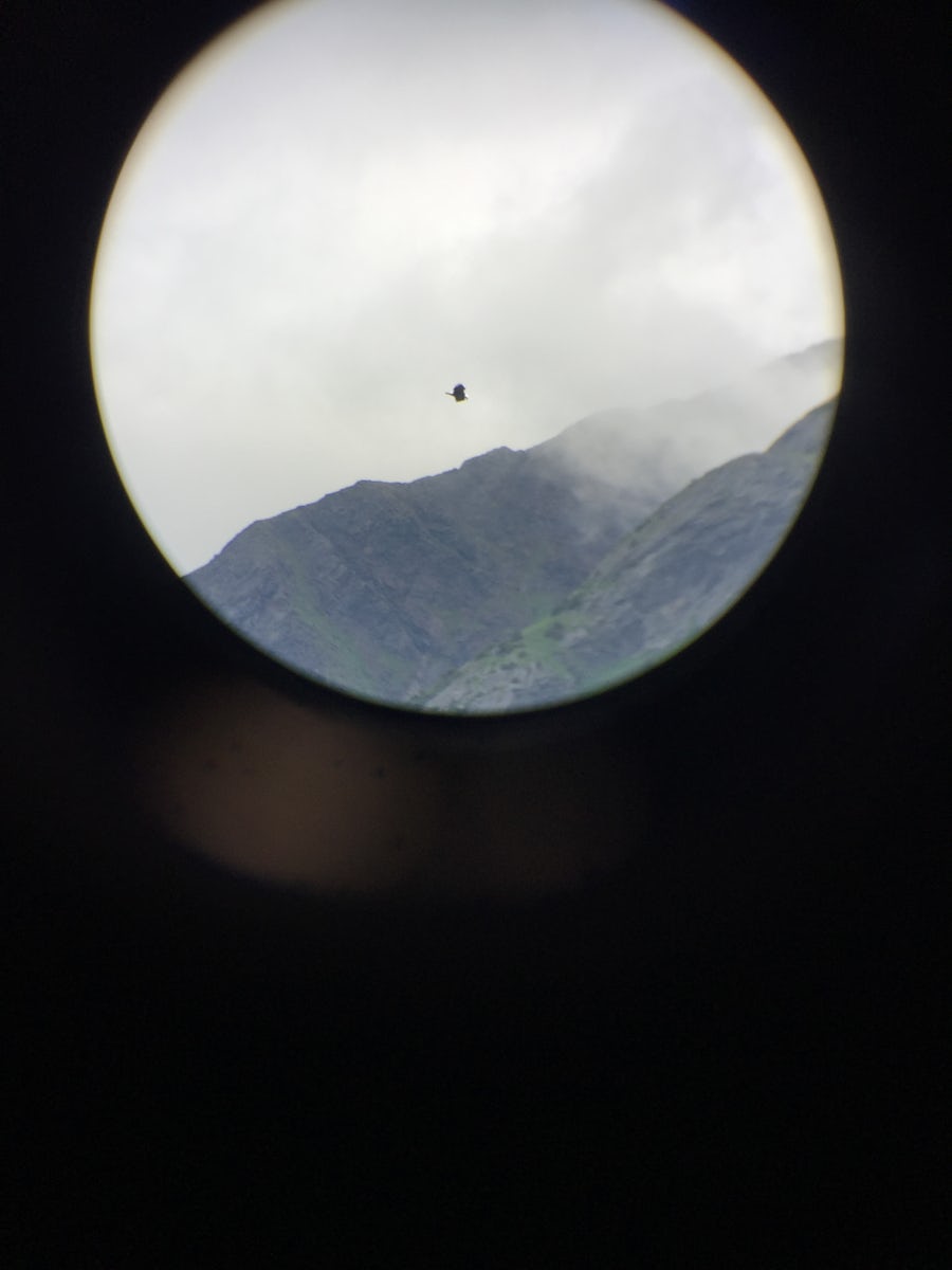 Eagle viewing through spotter scopes - actually saw a lot of mountain sheep