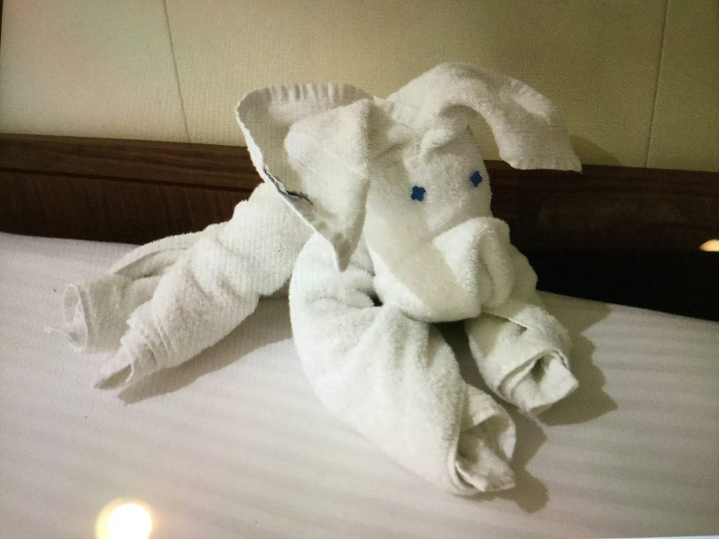 Towel animal was made at the room by our housekeeper.