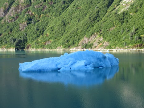 Iceberg from Sawyer Glacier.