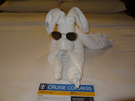 One of many towel creature left by attendant Sherwin.