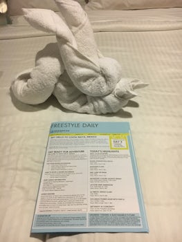A towel animal and freestyle which gave us the itinerary of available activ