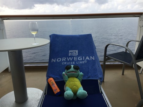 Squirtle lounging on the balcony of our cabin, enjoying his cruise.