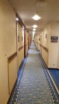 The long corridors