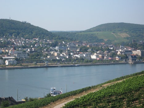 One of the many beautiful views from the cable car ride in Rudesheim.
