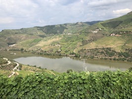 Douro River Landscape