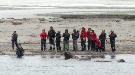 A group from an unidentified small Expedition ship demonstrate how NOT to interact with the local wildlife.