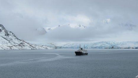 Another Hurtigruten ship, the MS Nordstjernen, meets us and passes on information about another Polar Bear sighting.