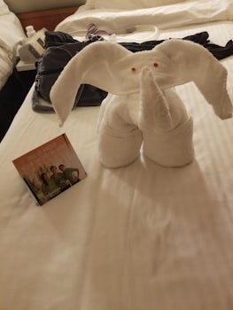 Towel animals on our bed when we came back to cabin.