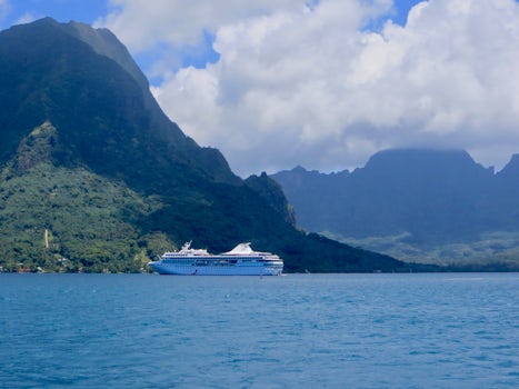 A beautiful cruise ship in the bay in Moorea. Wow!