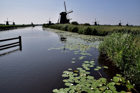 Kinderdijk Windmills excursion