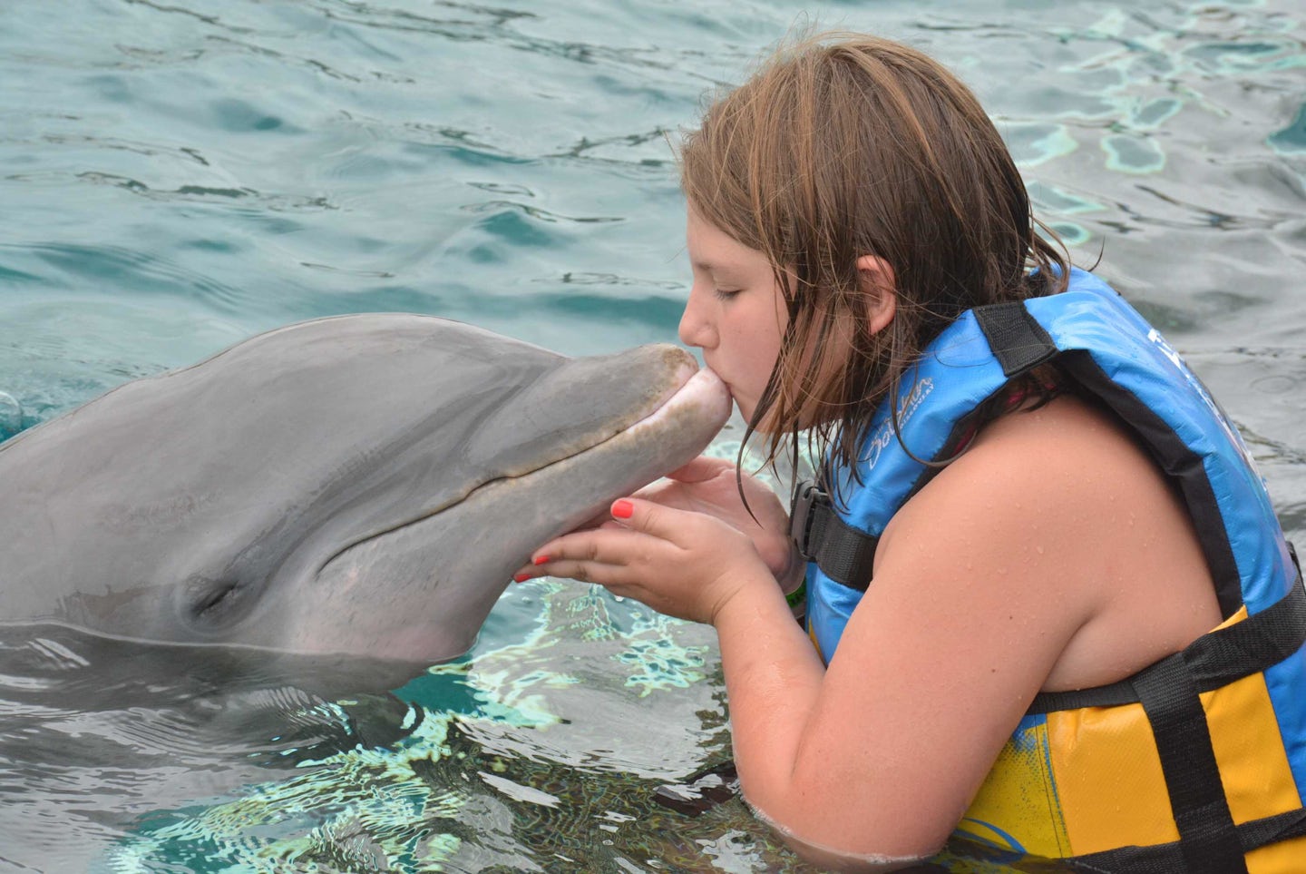 Kiss from dolphin