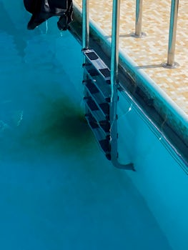 Rust stains on the bottom of the pool are very unwelcoming.