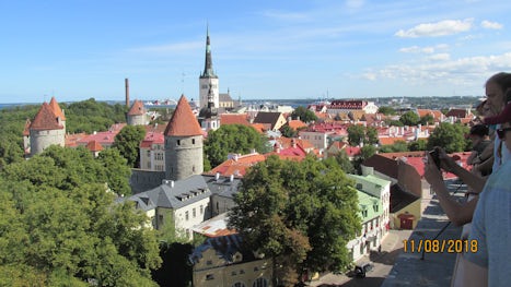 View from Upper Old Town in Tallin, Estonia