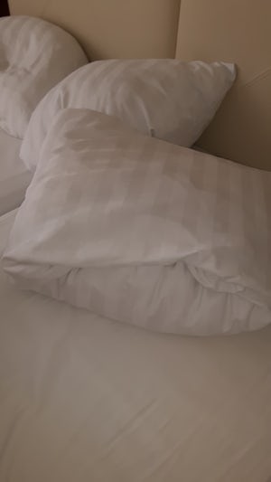 These are the pillows we had for 6 nights, stuffed with cheap foam