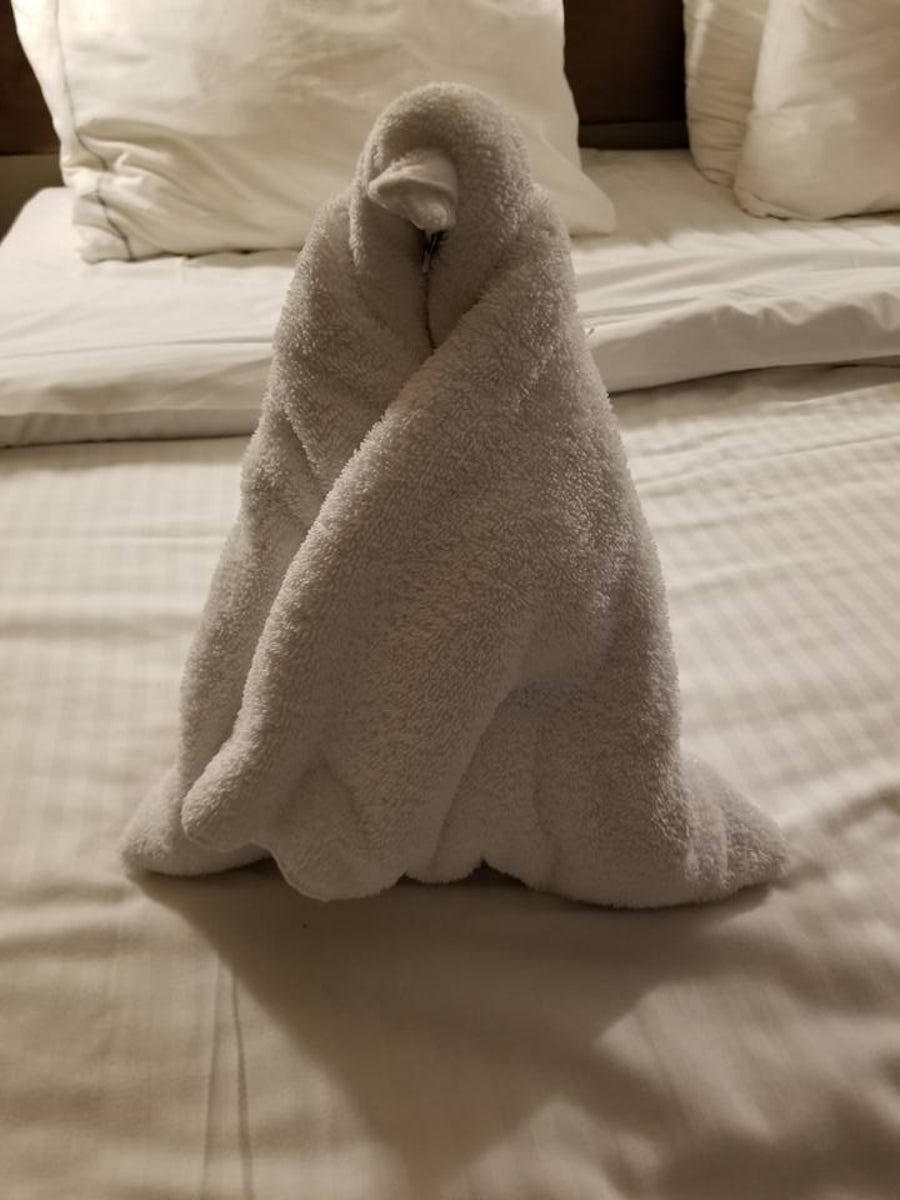 What is a cruise review without a towel animal?