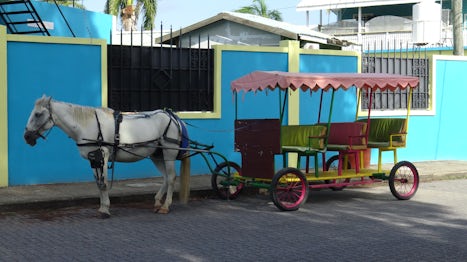 High-speed public transportation Belize-style.