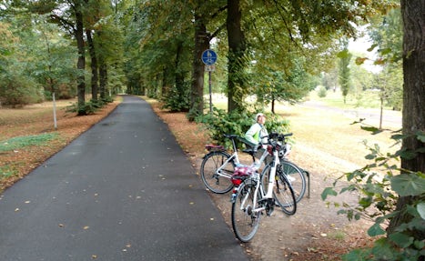 Bike path on the right bank of the Rhine just downstream of the Koeln landi