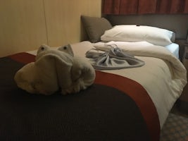 An example of the towel animals by Henry and Rocky.