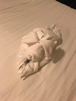 Towel animals left by attendant