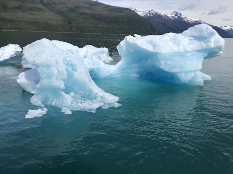 Tracy Arm Fjord and Glacier Explorer Cruise
