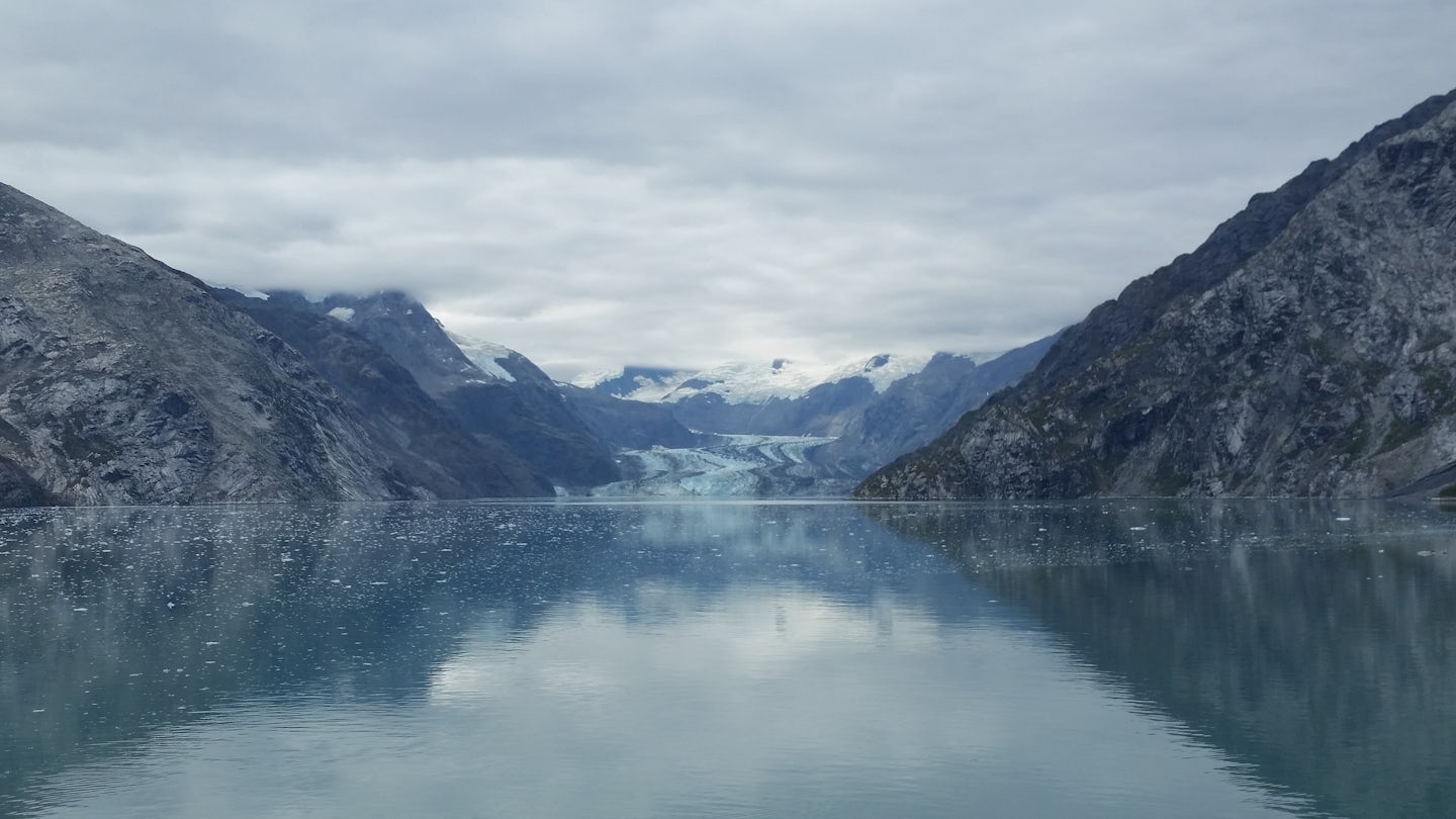 Another view in Glacier Bay from the bow viewing area of the ship.