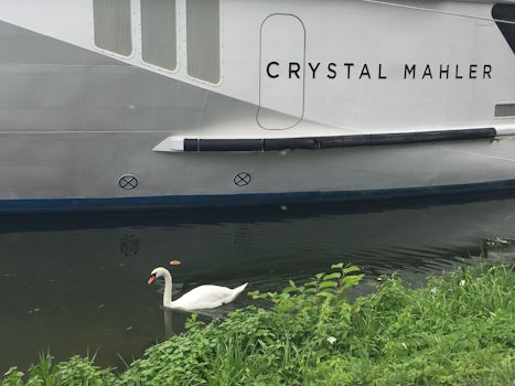 Crystal Mahler & Swan on the Moselle