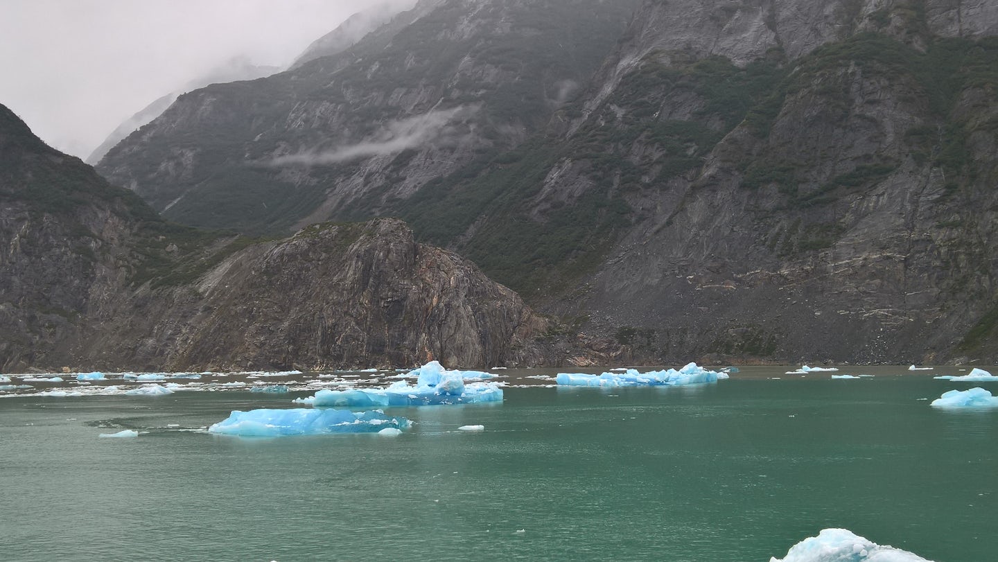 Icebergs in Tracy Arm