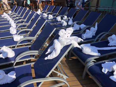 Towel animal madness on port day.
