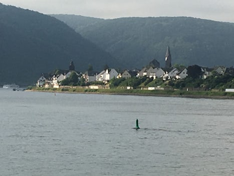 Beautiful scenery as cruising the Rhine River in the afternoon after the mo