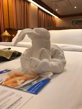 Towel origami only for gala  night