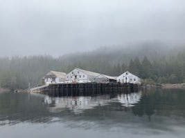 WILDERNESS EXPLORATION & CRAB FEAST - excursion in Ketchikan. A nice tour of the inlet past this old cannery