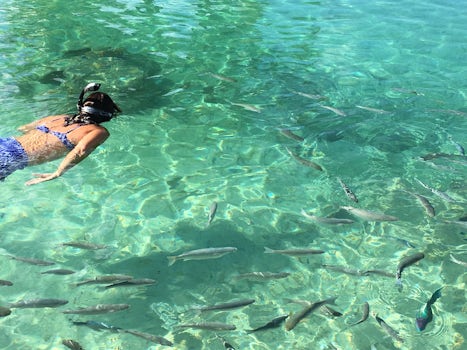 Snorkel time in the crystal clear water of Bora Bora FP