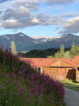 This was taken at the Kenai Princess Lodge.  We stayed in quaint cabins, ne