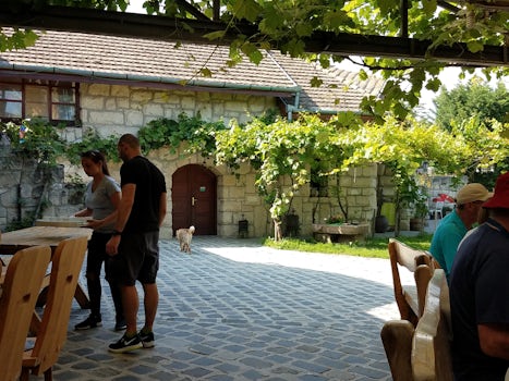 Budapest Wine County Tour excursion