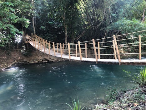 Bridge at tubing adventure. Jamaica