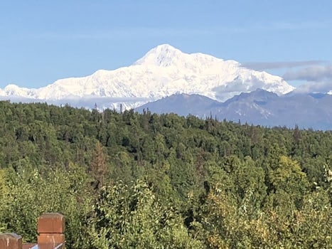 Mt. Denali in all it’s glory! Only 30% of the people get to see it.