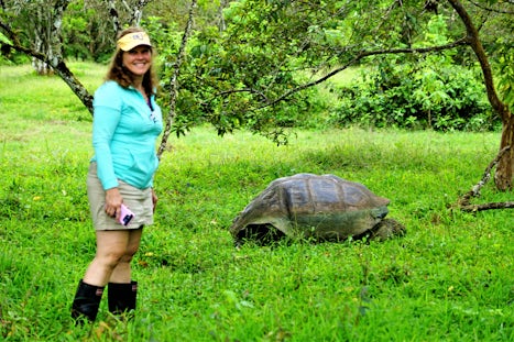 Great walk amongst giant tortoises