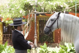 Spanish Horse and rider, Cartagena, Spain