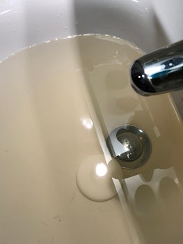 Water color in sink.