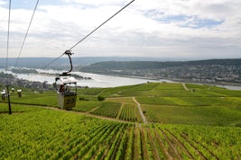 Gondola ride-view of vineyards of Rüdesheim and Rhine River