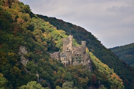 Castle viewing-Rhine River