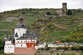Rhine River Gorge-casle viewing
